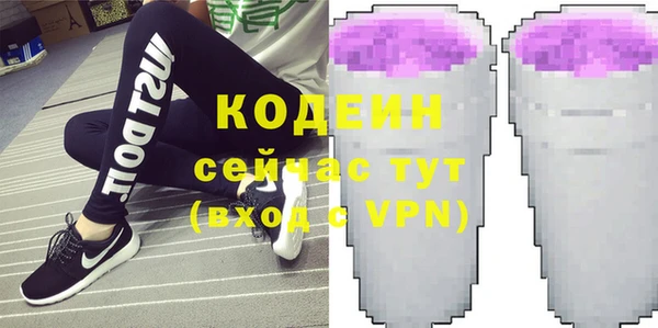 дмт Вяземский