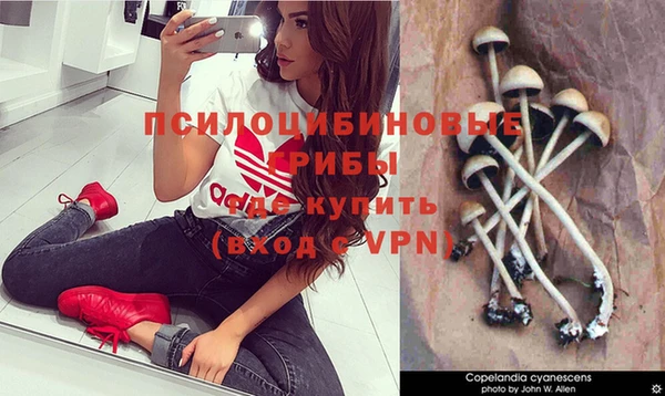 дурь Вязьма