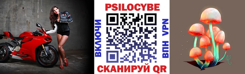 Галлюциногенные грибы Psilocybine cubensis  закладка  Снежинск 