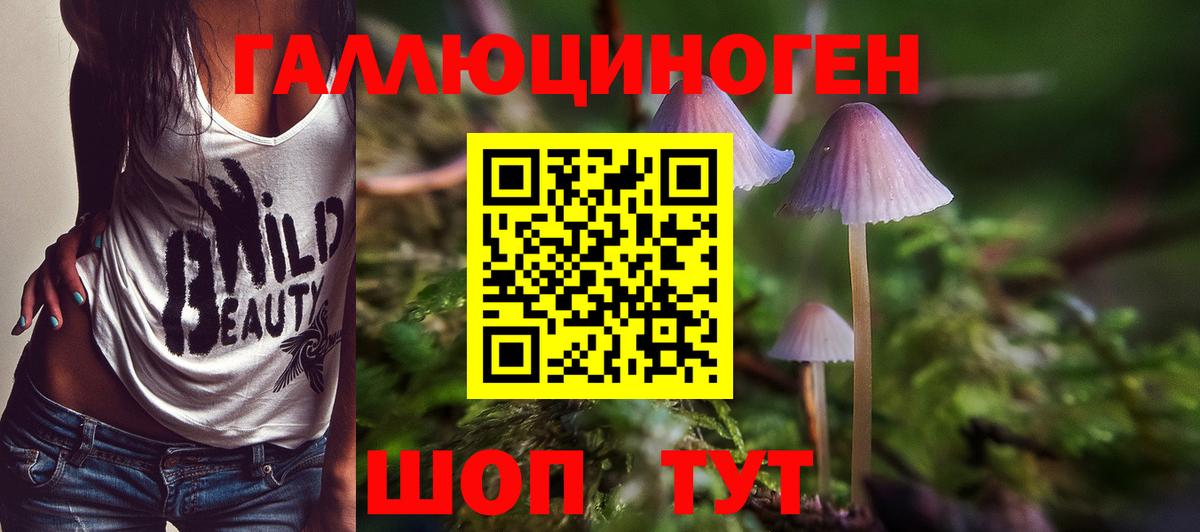 Псилоцибиновые грибы MAGIC MUSHROOMS Снежинск