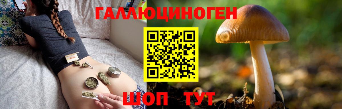 Снежинск  Псилоцибиновые грибы Psilocybe  Вход с VPN  дарнет шоп  Галлюциногенные грибы Psilocybe 